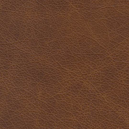 Salmoni Genuine Leather Swivel Chair