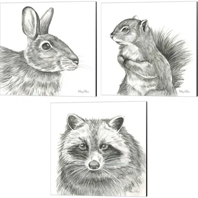 Watercolor Pencil Forest (Rabbit, Squirrel & Raccoon) By Kelsey Wilson, Canvas Art (Set Of 3)