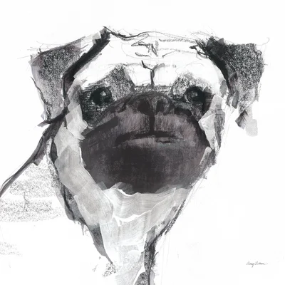 Snug Sitting Pretty by Avery Tillmon - Drawing Print on Canvas
