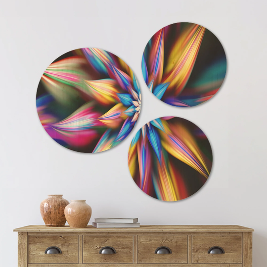 Designart 'Exotic Multi Color Flower Petals' Floral Wood Wall Art Set of 3 Circles - Multi-Color