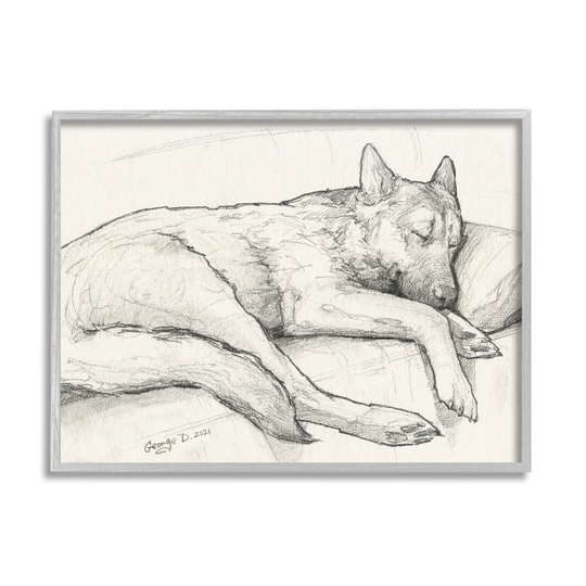 Stupell Industries Dog Curled Up Resting Detailed Graphite Pencil Drawing Framed Wall Art, Design by George Dyachenko