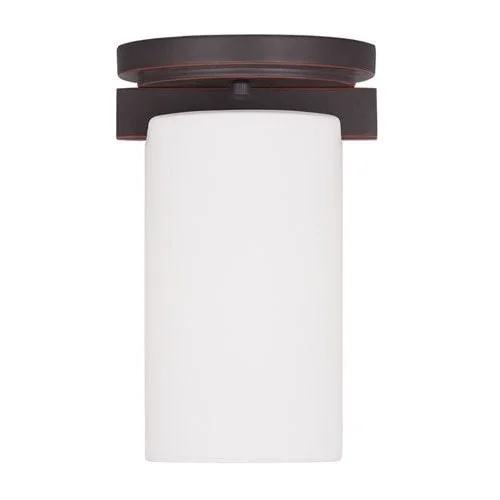 Livex Lighting North Port Black 2-light Ceiling-mount Light