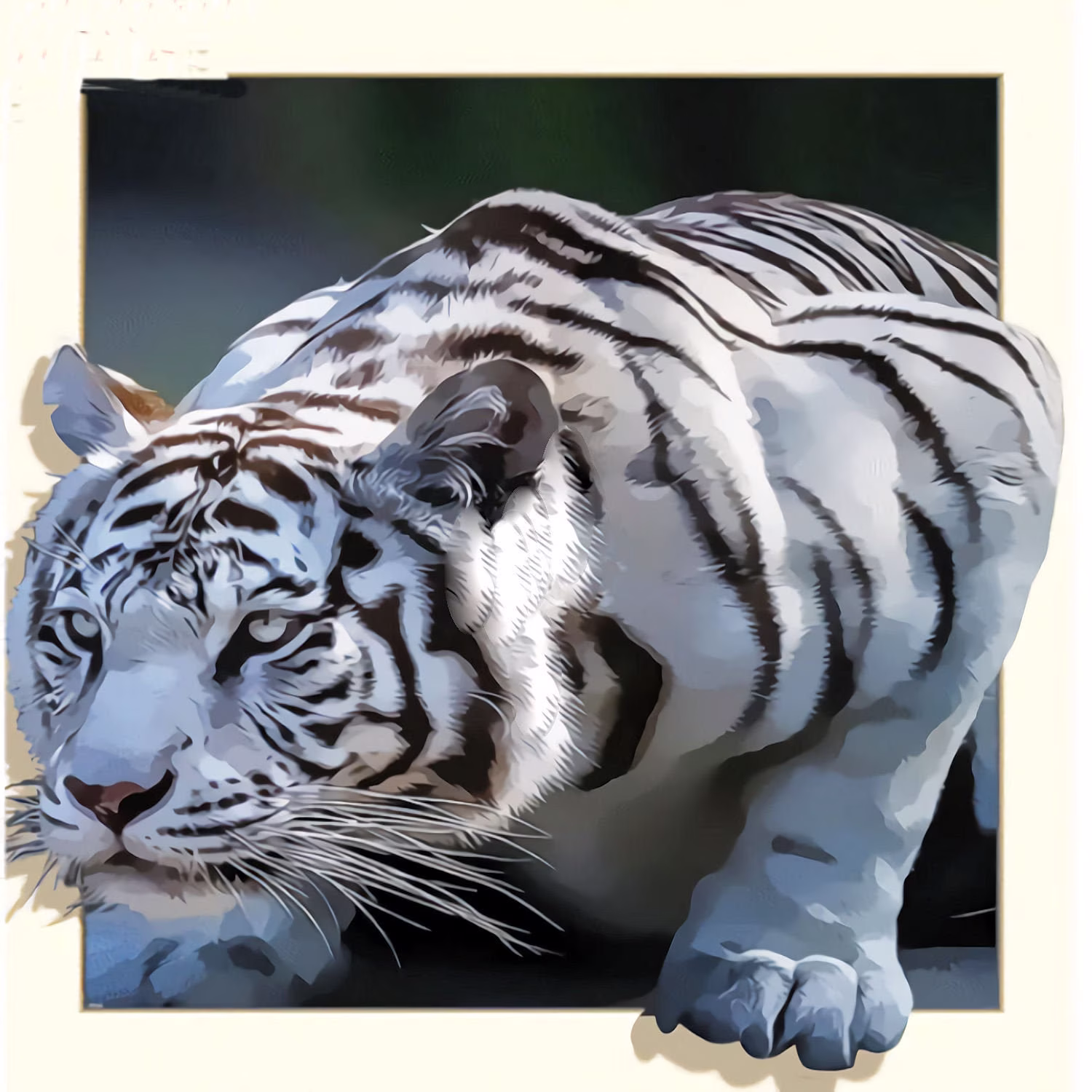 White Tiger At You Diy 5D Diamond Painting Kit Full Square & Round Drill