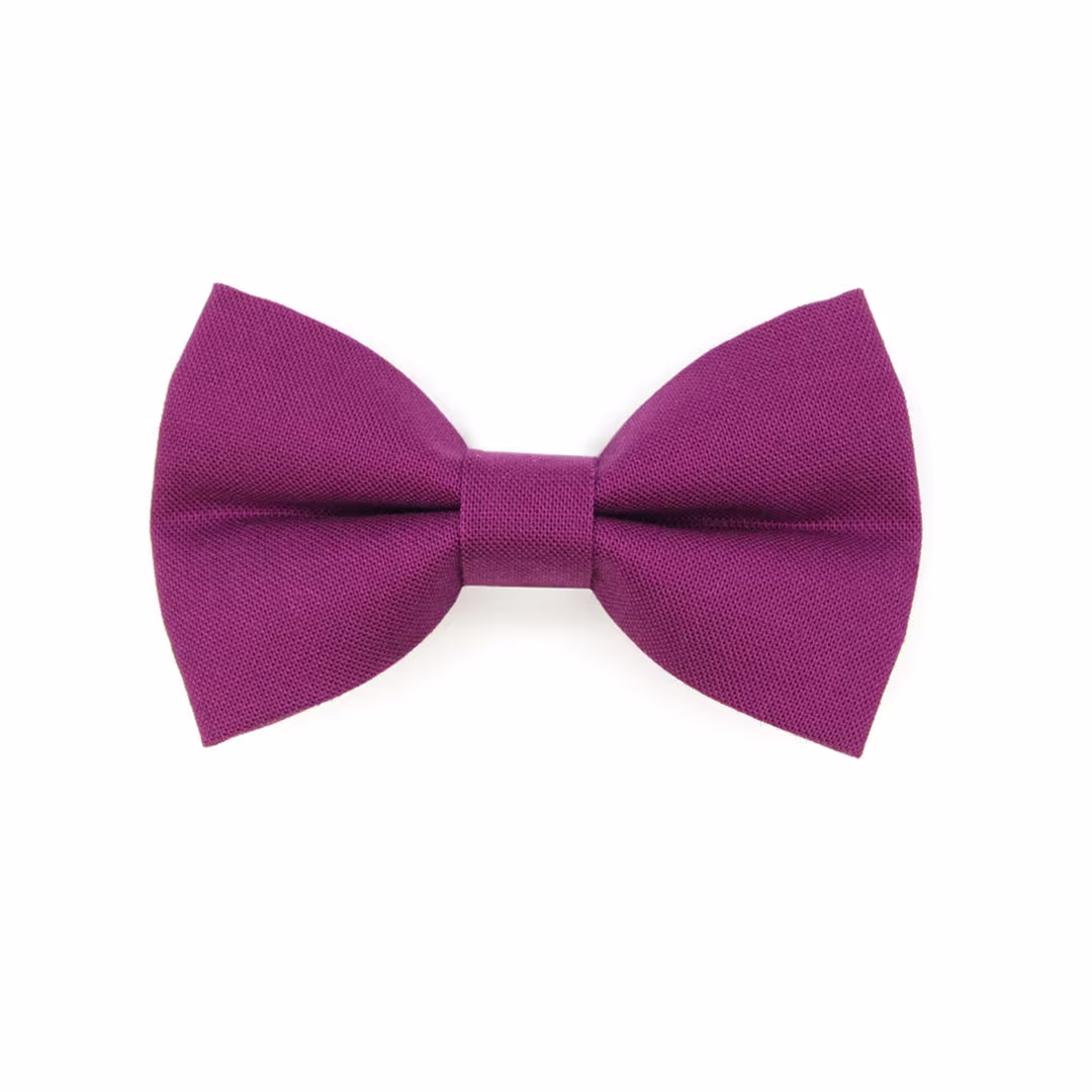 Cat Bow Tie - "Color Collection Plum Purple" Solid Color Purple/Wedding Pet Bowtie Elastic Loop + Small Dog Size