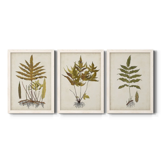 Fern Botanical I-Premium Framed Canvas - Ready to Hang - Multi-Color