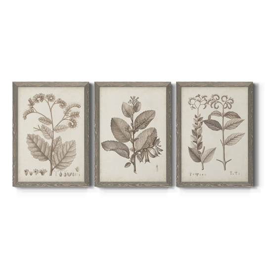 Antique Sepia Botanicals IV-Premium Framed Canvas - Ready to Hang - Multi-Color