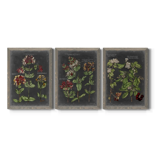 Vintage Botanical Chart I-Premium Framed Canvas - Ready to Hang - Multi-Color