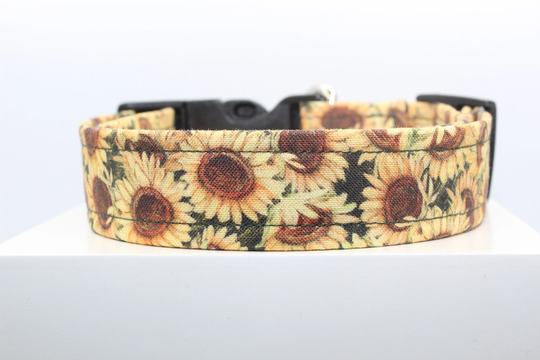 Sunflower Dog Collar, Handmade Fabric Custom Dog Collars, Collars For Dogs, Fall Dogs