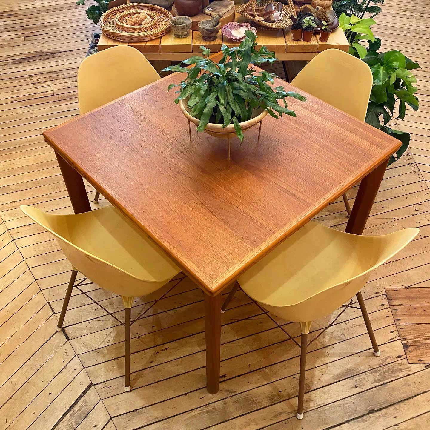 Vintage Shell Dining Chair Set