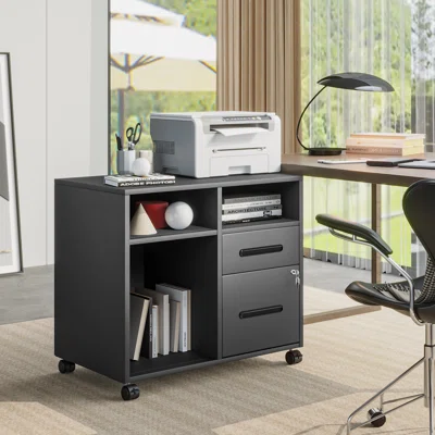 Macalla 2-Drawer Mobile Lateral Filing Cabinet