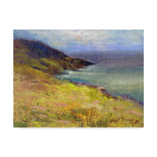 Hall Groat Ii 'Ring of Kerry, Ireland 4' Canvas Art - Multi-color