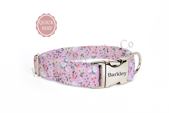 Floral Dog Collar, Cute Girl Large Collar