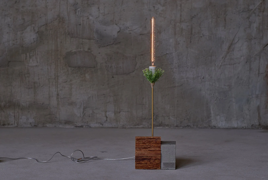 Old Wood Table Lamp Butterfly-Orchid, With Story, Sustainable Design, Handcrafted, Lamp, Lighting, Lights, Concrete, Loft Design