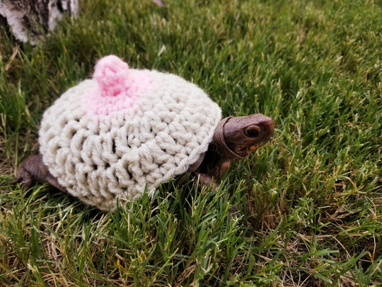 Boobie Crochet Costume For Turtles/ Tortoises