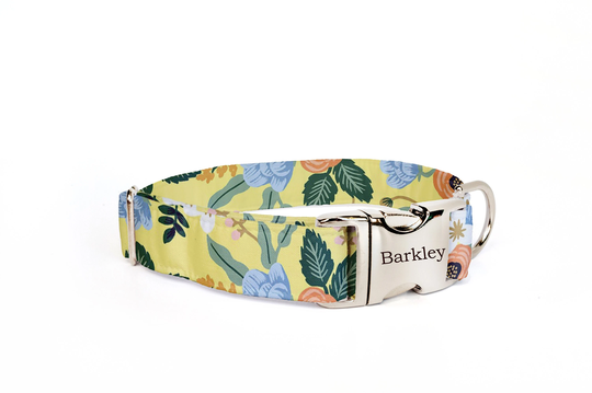 Dog Collar Personalized, Female Collar, Girl Birch Yellow Floral
