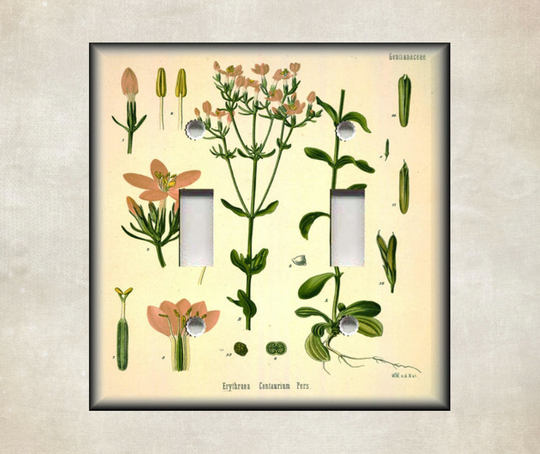 Metal Light Switch Cover - Vintage Botanical Plate Covers Outlet Decor Free Shipping
