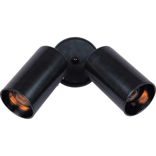 Spots 2-Light Can Wall/Flush Mount