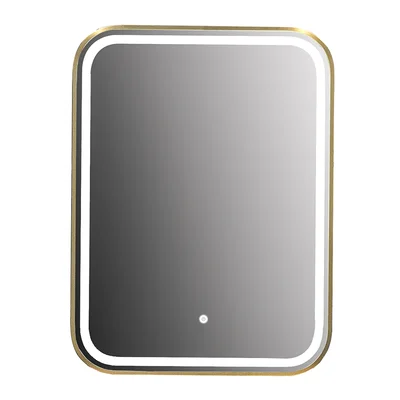 Ani 24" X 31.5" Lighted Wall Mounted Bathroom Vanity Mirror