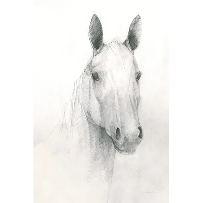 Romeo Crop by Avery Tillmon - Wrapped Canvas Drawing Print