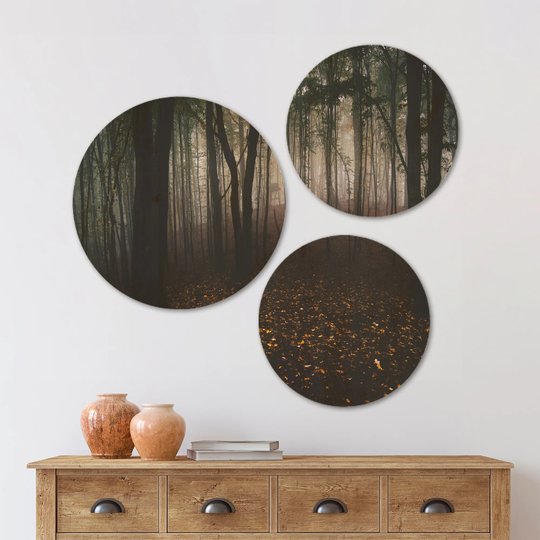 Designart 'Dark Spooky Misty Wild Forest' Forest Wood Wall Art Set of 3 Circles - Multi-Color