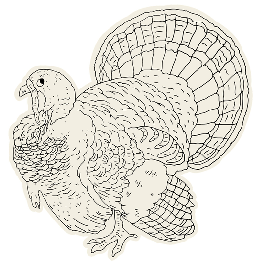 Die-Cut Coloring Turkey Placemat | Table Decor
