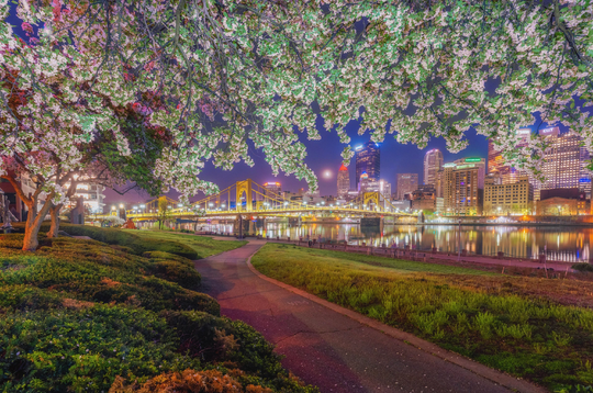 Painting The Colors Of Spring - Pittsburgh Skyline Various Prints