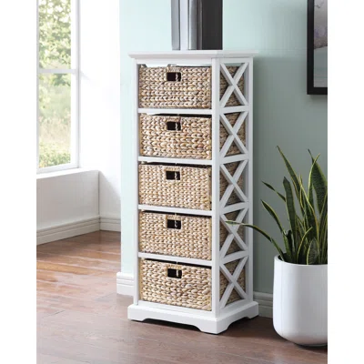 Lefkowski 5 Drawer Storage Chest