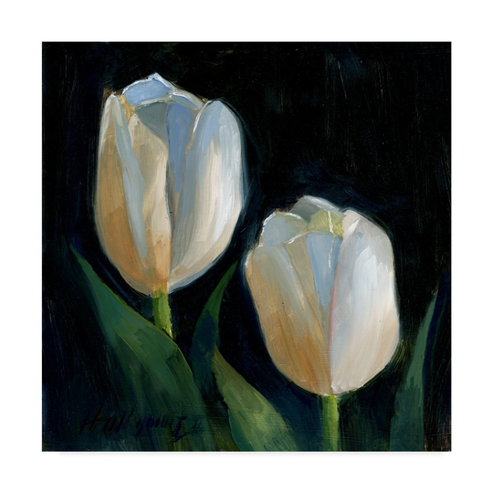 Hall Groat Ii 'White Tulips Black' Canvas Art - Multi-color
