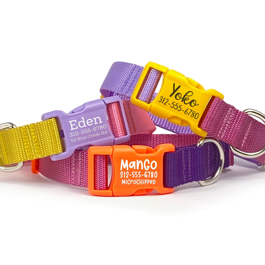 Color-Block Personalized Dog Collar | Colorful With Pet Id Webbing Engraved Buckle Girl Name