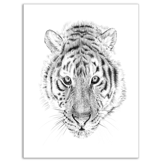 Designart 'Pencil Tiger Sketch in Black and White' Animals Print on Wrapped Canvas - White