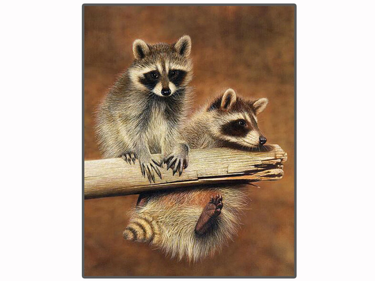 5D Diy Full Drill Square Round Diamond Painting Kit, Animal Cute Raccoon Cross Stitch, Diamond Embroidery Wall Home Decor New