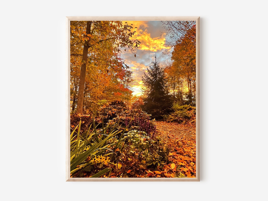 Autumn Leaves Print, Colorful Fall Photo, Banner Elk Nc Photography, Scene, Orange Wall Art, Vibrant Sunrise Picture, Photograph