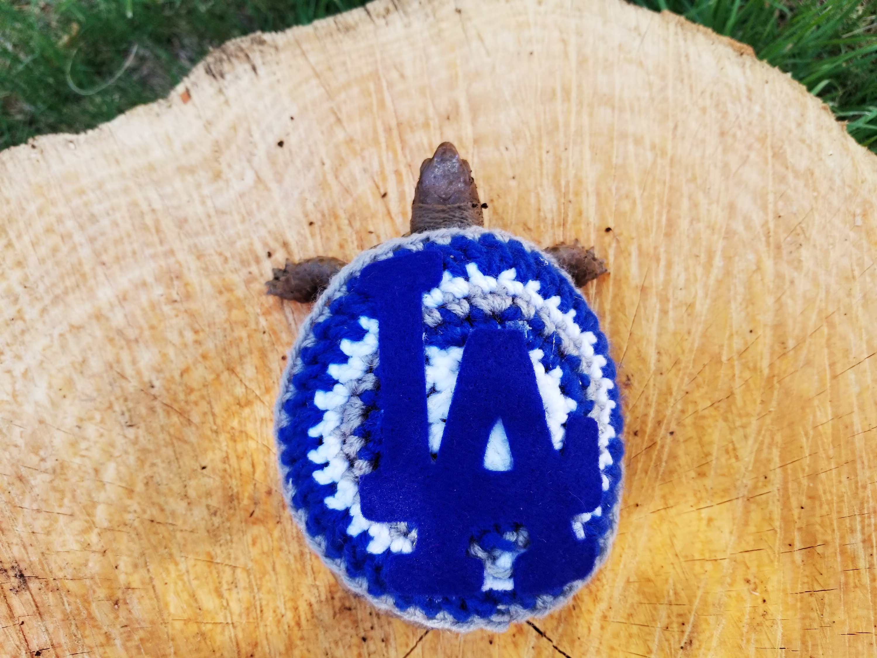 Baseball Team Inspired Costume For Turtle/ Tortoise