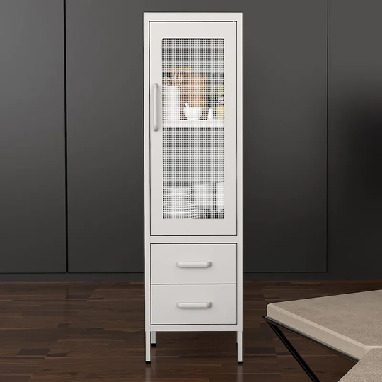 Metal Mesh Door File Cabinet for Storage