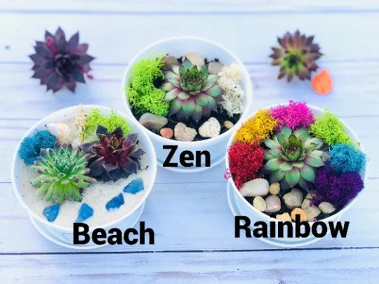 Diy Craft, Craft Kits For Adults, Personalized Gift, Terrarium Kit Succulent Terrarium, Home Decor Kit, Do It Yourself