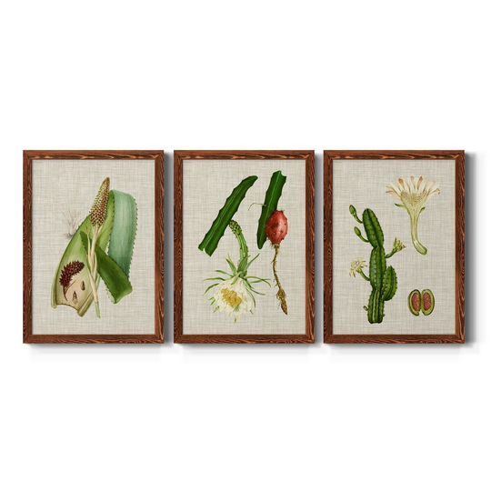 Elegant Tropicals I-Premium Framed Canvas - Ready to Hang - Multi-Color
