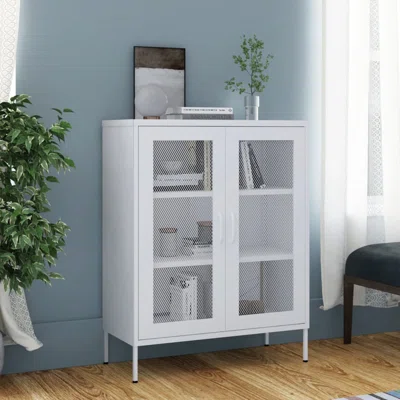 31.5'' Wide Storage Cabinet