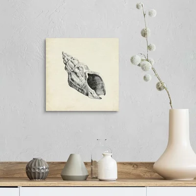 Seashell Pencil Sketch II by Emma Caroline - Painting Print