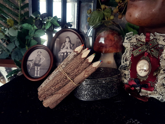 Wood Branch Pencils, Twig Pencils, Colouring Pencils, Set Of 10, Rustic Decor, Forest Pagan White Witch