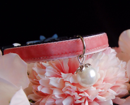 Cute Coral Pink Velvet Cat Collar, Peach Collar, Pearl Small Dog Collar.kitty Collar, Gift For Cat, Tea Cup Collar.tiny Collar