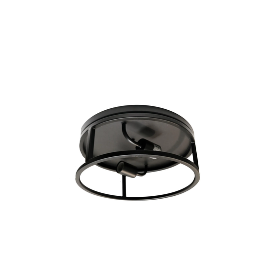 Vivio Lighting Edward 2-Light Round Matte Black Open Ceiling Mount