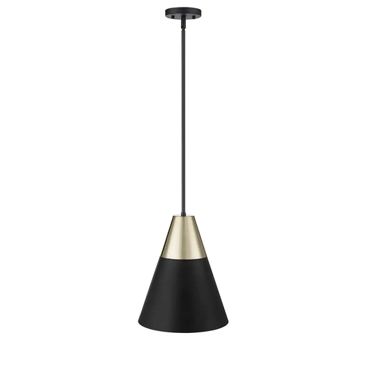 Millennium Lighting Annos 1 Light Metal Pendant Fixture