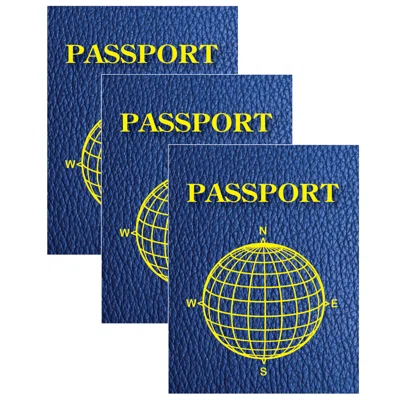 Ashley Productions Blank Passports