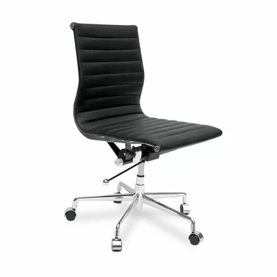 Selbyville Ergonomic Office Chair