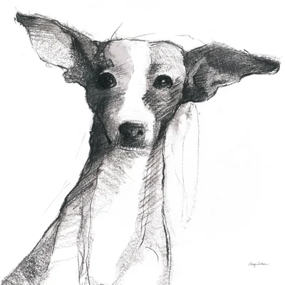 Thor Sitting Pretty by Avery Tillmon - Drawing Print on Canvas