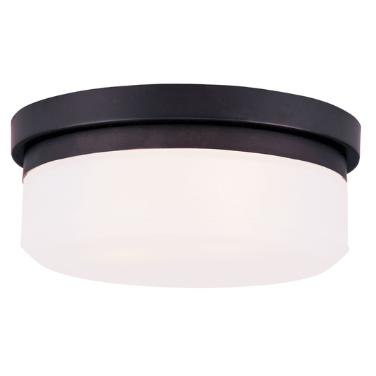 Livex Lighting Stratus Glass/Steel Ceiling Mount Light