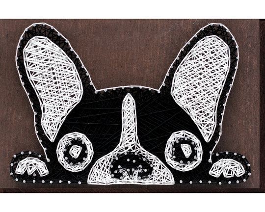 string Art Diy Kit "French Bulldog" Diy, Abris Art. Creative Kit
