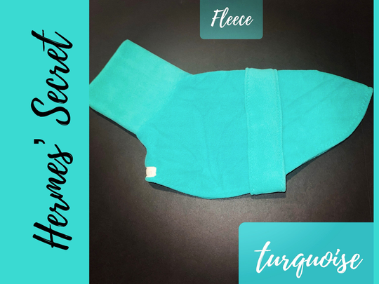 Hermes' Secret Turquoise Fleece Jammies