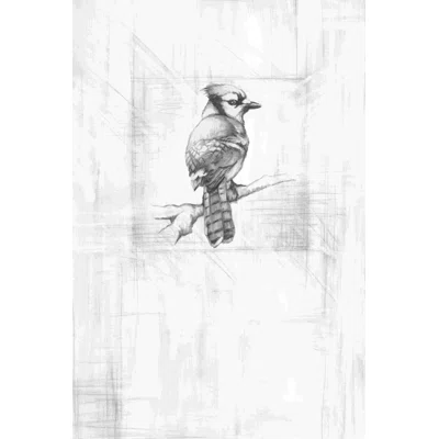 Sketchy Bird On Pencil Paper