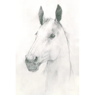 Caesar Crop by Avery Tillmon - Wrapped Canvas Drawing Print